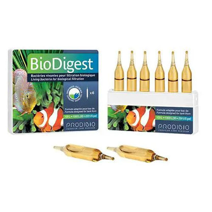 Vi sinh sống Prodibio BioDigest