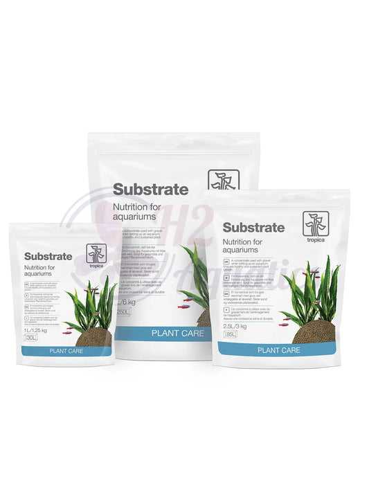 Cốt nền cao cấp Tropica Substrate