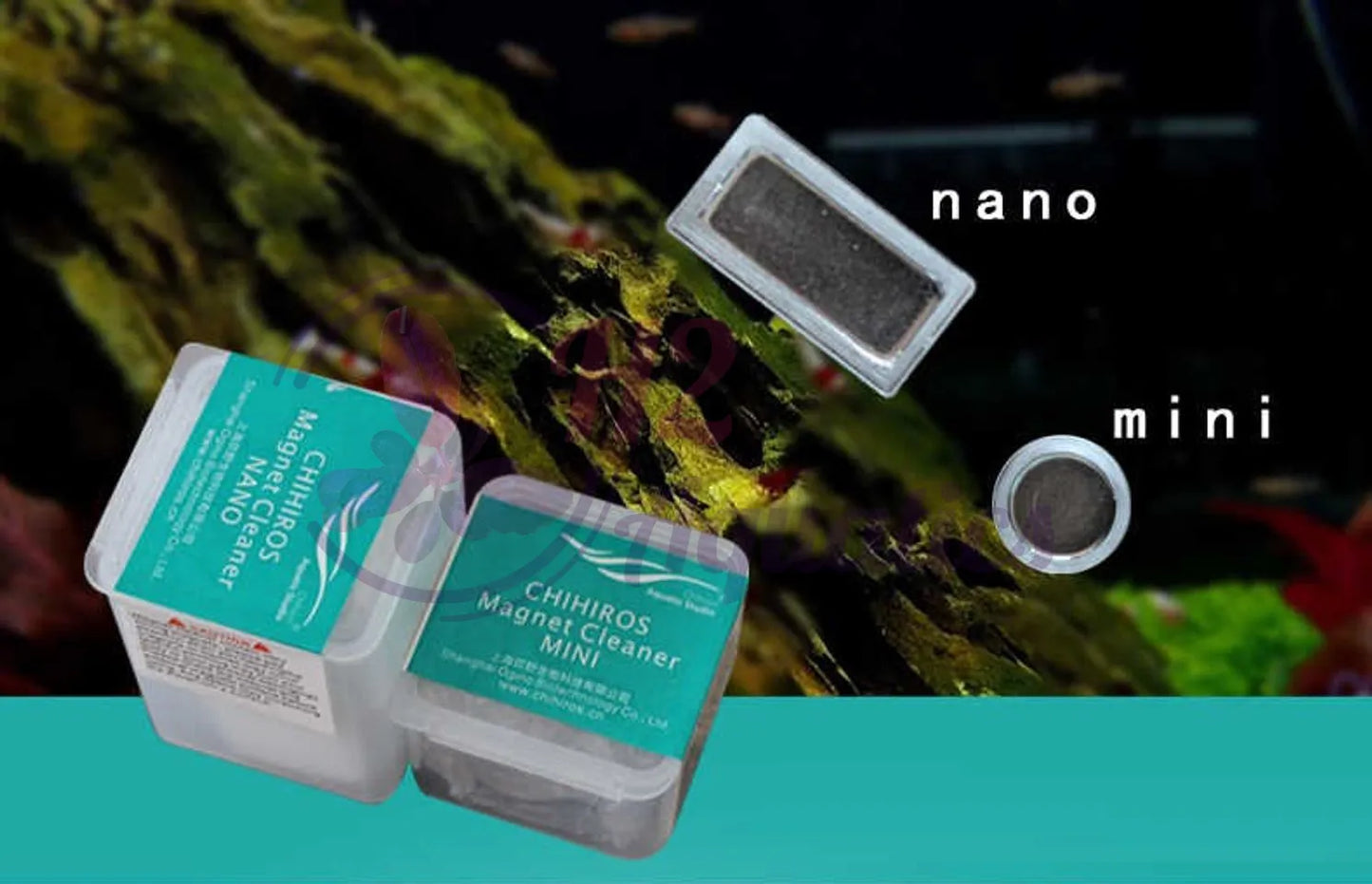 Nam châm vệ sinh hồ kính chihiros magnet cleaner mini/nano