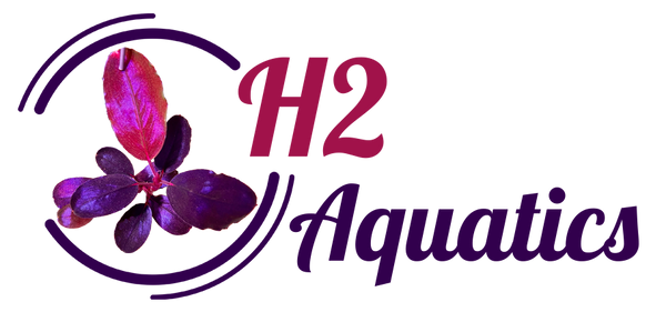 H2Aquatics.com